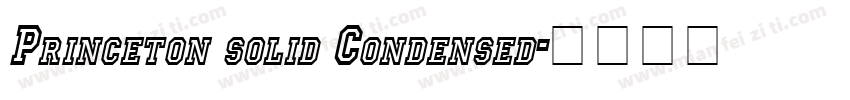 Princeton solid Condensed字体转换